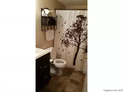 609 Pine, Greenfield, IL 62044 photo 9