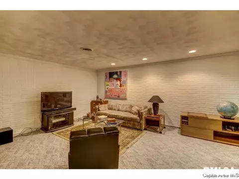 409 Mill Bank Ln, Springfield, IL 62704 photo 29