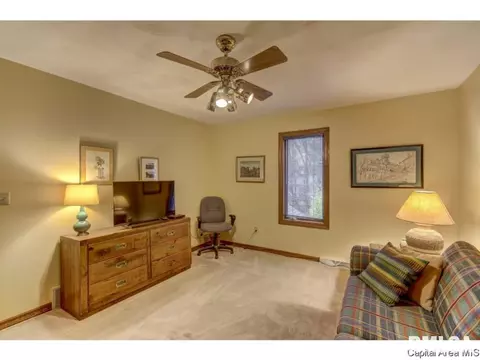 409 Mill Bank Ln, Springfield, IL 62704 photo 22