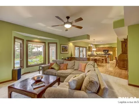 409 Mill Bank Ln, Springfield, IL 62704 photo 13