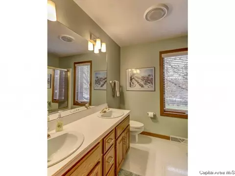 409 Mill Bank Ln, Springfield, IL 62704 photo 21