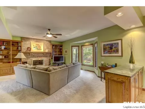 409 Mill Bank Ln, Springfield, IL 62704 photo 12