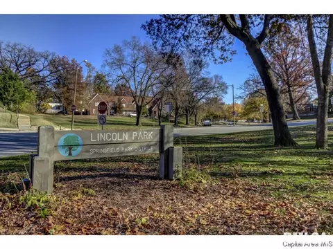 521 E Black Ave #1, Springfield, IL 62702 photo 18