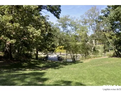 521 E Black Ave #1, Springfield, IL 62702 photo 27