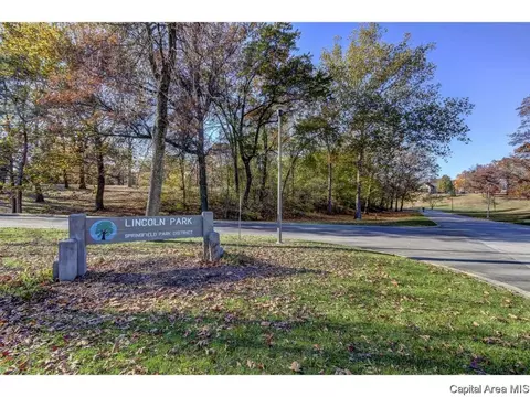 521 E Black Ave #1, Springfield, IL 62702 photo 17