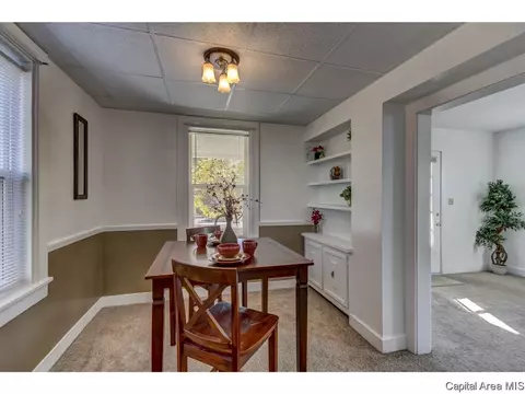 521 E Black Ave #1, Springfield, IL 62702 photo 9