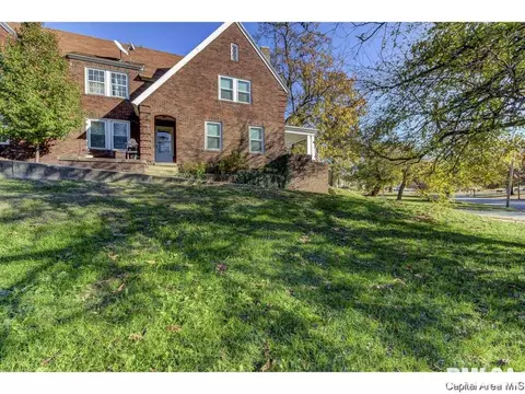 521 E Black Ave #1, Springfield, IL 62702 photo 4
