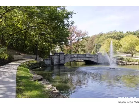 521 E Black Ave #1, Springfield, IL 62702 photo 25