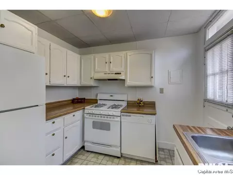 521 E Black Ave #1, Springfield, IL 62702 photo 6