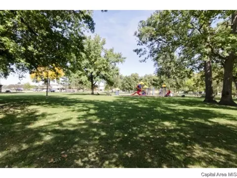 521 E Black Ave #1, Springfield, IL 62702 photo 23