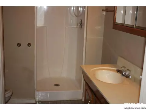 1304 N Rutledge, Springfield, IL 62704 photo 10
