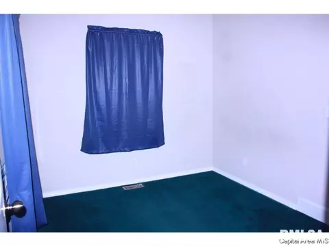 1304 N Rutledge, Springfield, IL 62704 photo 11