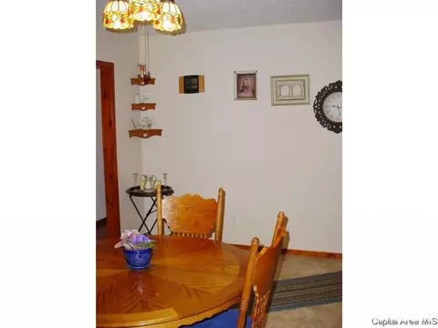 224 Hawkeye Way, Springfield, IL 62707 photo 20