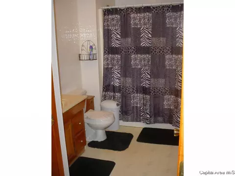 224 Hawkeye Way, Springfield, IL 62707 photo 7
