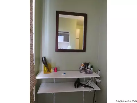 418 W Allen St, Springfield, IL 62704 photo 22