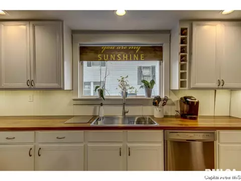 1316 W Governor St, Springfield, IL 62704 photo 5
