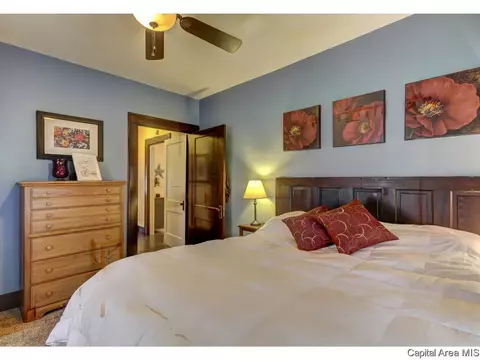 1316 W Governor St, Springfield, IL 62704 photo 15