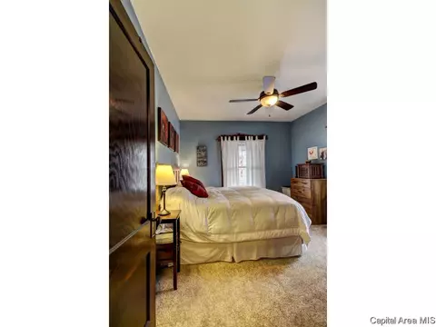 1316 W Governor St, Springfield, IL 62704 photo 16