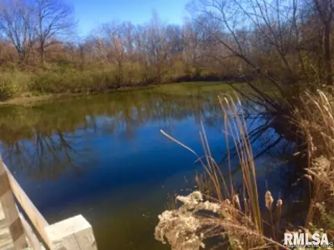1022 N Oaklane Rd, Springfield, IL 62707 photo 34
