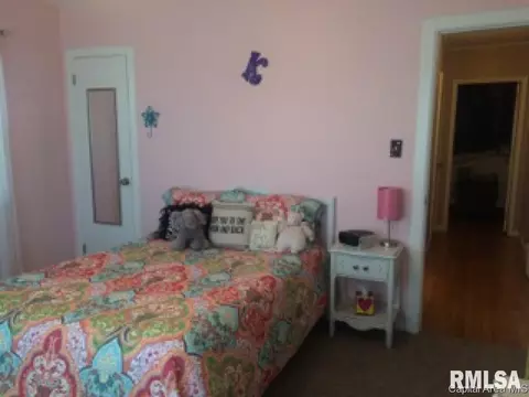 1022 N Oaklane Rd, Springfield, IL 62707 photo 22