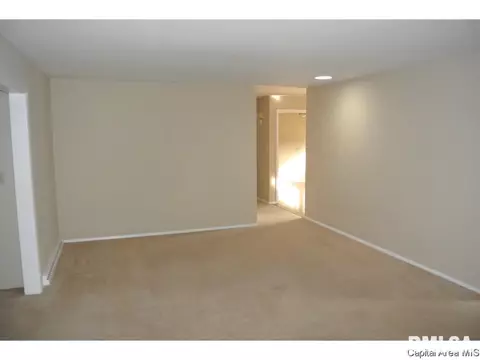 46 Lambert Ln, Springfield, IL 62704 photo 19