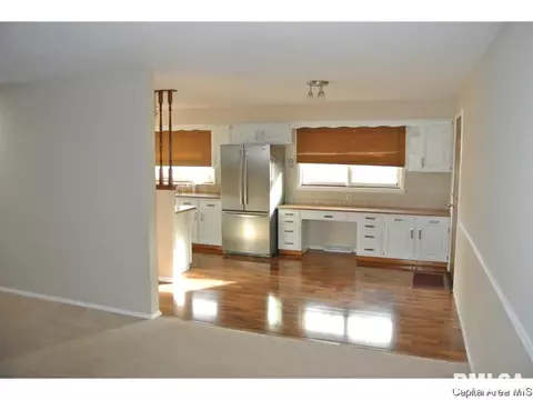 46 Lambert Ln, Springfield, IL 62704 photo 20