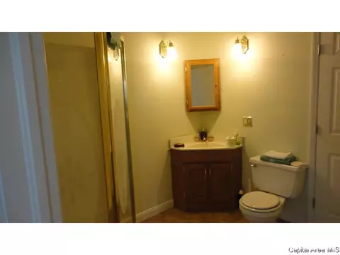 410 Mohawk St, Morrisonville, IL 62546 photo 6