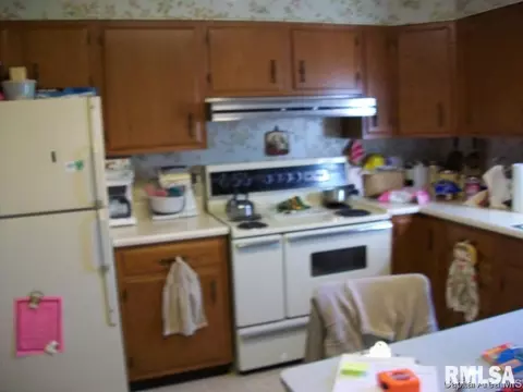614 E Third St, Maquon, IL 61458 photo 12