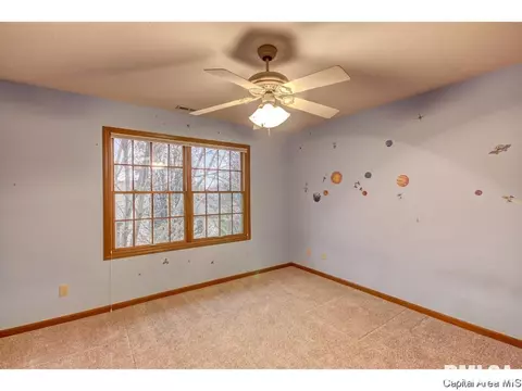 233 Blake Ct, Springfield, IL 62711 photo 19