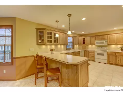 233 Blake Ct, Springfield, IL 62711 photo 13