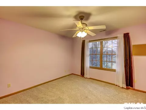 233 Blake Ct, Springfield, IL 62711 photo 20