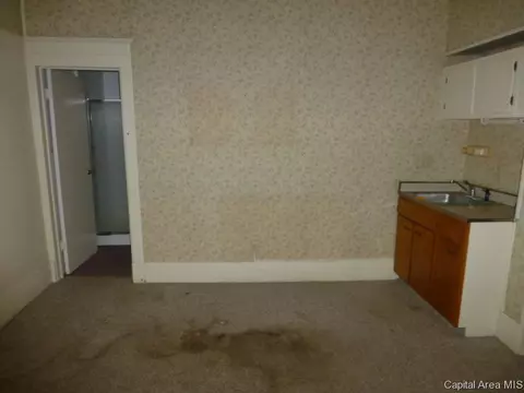 157 N Douglas Ave, Springfield, IL 62702 photo 14