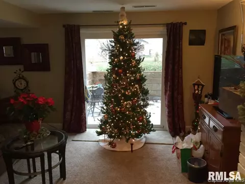 118 Collier Dr, Springfield, IL 62704 photo 24