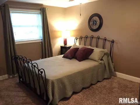 118 Collier Dr, Springfield, IL 62704 photo 18