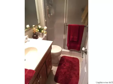 118 Collier Dr, Springfield, IL 62704 photo 14