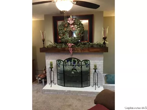 118 Collier Dr, Springfield, IL 62704 photo 25