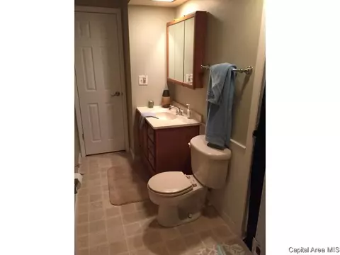 118 Collier Dr, Springfield, IL 62704 photo 19