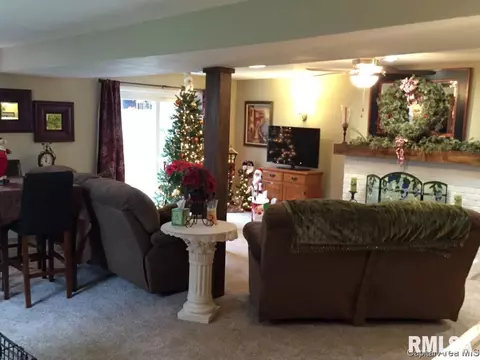 118 Collier Dr, Springfield, IL 62704 photo 26