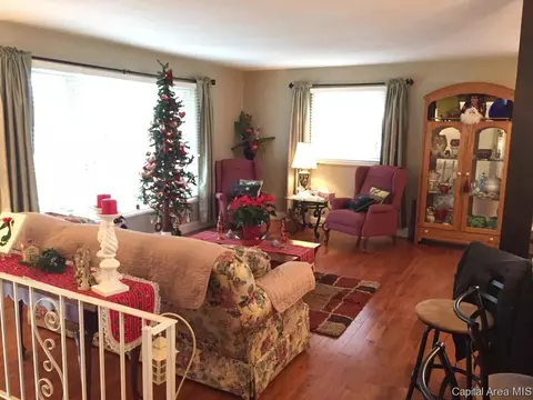 118 Collier Dr, Springfield, IL 62704 photo 11