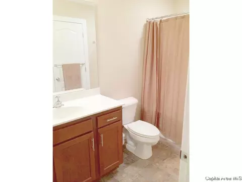 4106 Amy Ct, Springfield, IL 62711 photo 21