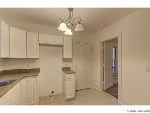 438 Williams St, Springfield, IL 62704 photo 15