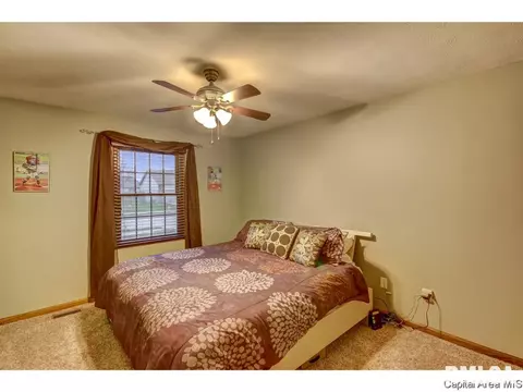 3213 Catalpa Dr, Springfield, IL 62707 photo 20