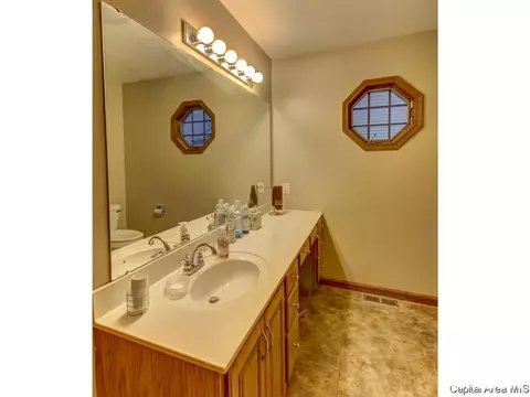 3213 Catalpa Dr, Springfield, IL 62707 photo 19