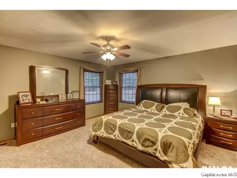 3213 Catalpa Dr, Springfield, IL 62707 photo 18