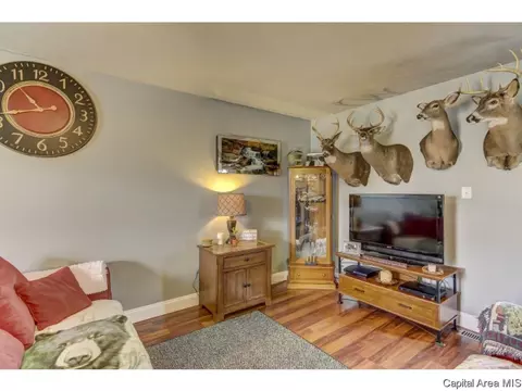 2440 Normal Dr, Springfield, IL 62707 photo 23