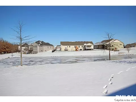 445 Elle Ct, Springfield, IL 62711 photo 34