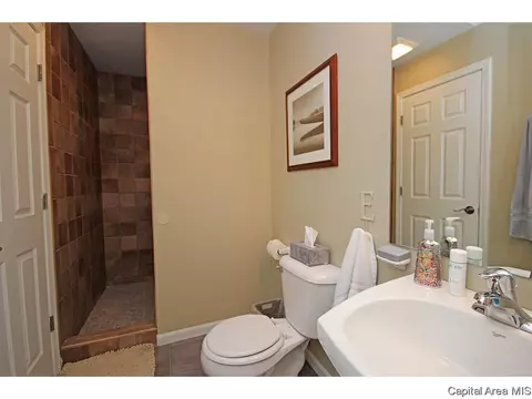 445 Elle Ct, Springfield, IL 62711 photo 18