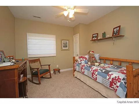 445 Elle Ct, Springfield, IL 62711 photo 24