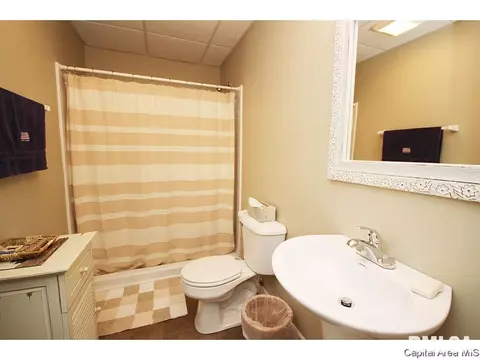445 Elle Ct, Springfield, IL 62711 photo 17