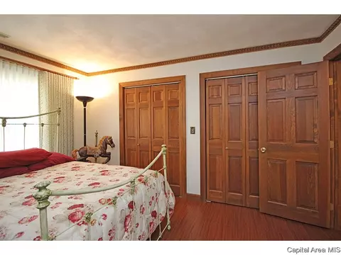 24 Chimney View Ln, Springfield, IL 62707 photo 20
